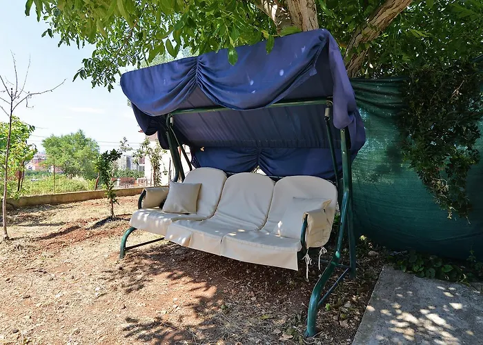 Dino 1374 Пула