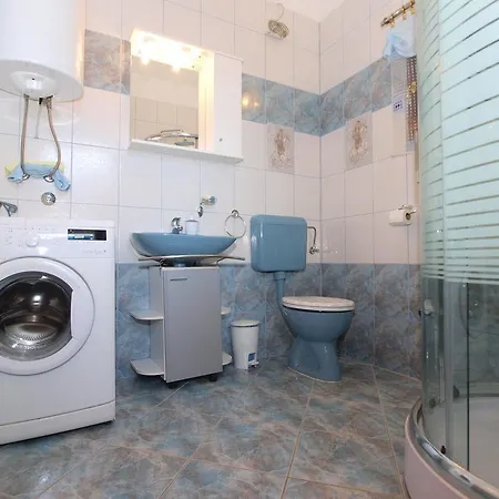 Dino 1374 * بولا