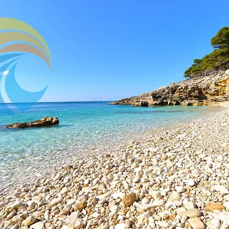 Dino 1374 * بولا